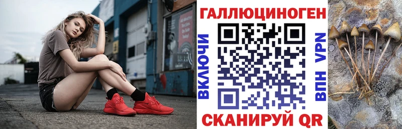 дарнет шоп  Курлово  Псилоцибиновые грибы прущие грибы 